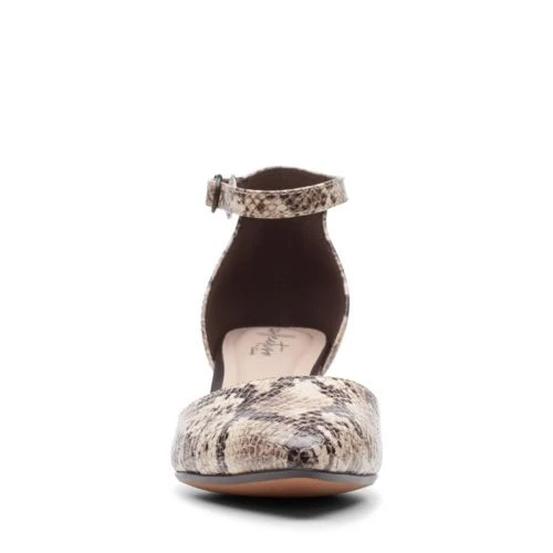 Linvale Edyth 5 Linvale Edyth - Image 3