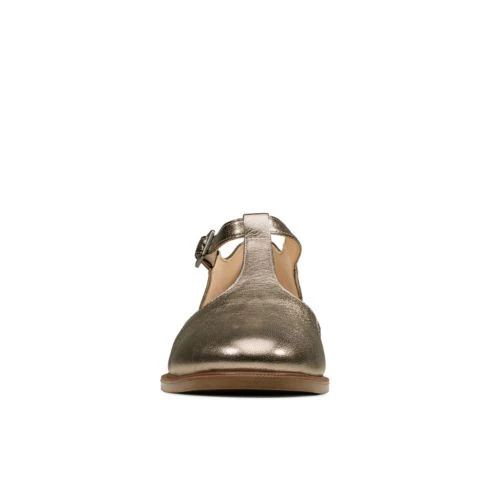 Taylor Palm 5 Taylor Palm - Image 3